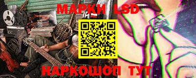 прущие крисы Кингисепп