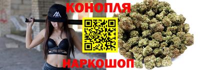прущие крисы Кингисепп