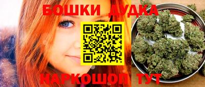 прущие крисы Кингисепп