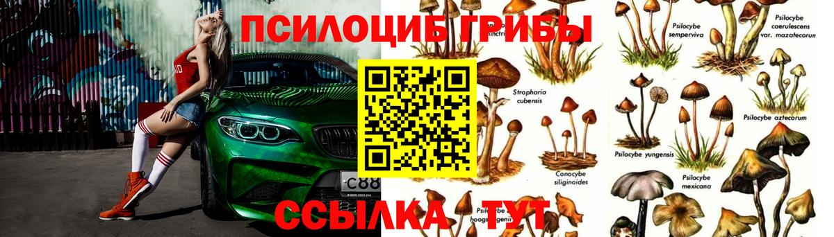 Галлюциногенные грибы ЛСД  Галлюциногенные грибы Magic Shrooms  Вход с VPN  Лабытнанги 